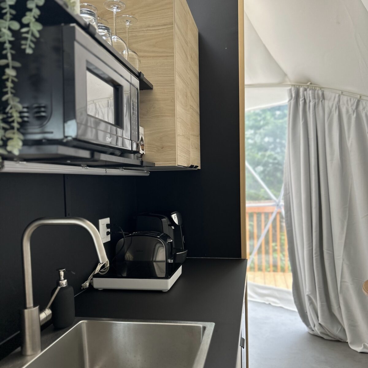 Webp.net-resizeimage-22