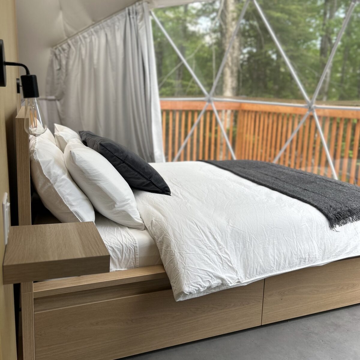 Webp.net-resizeimage-23