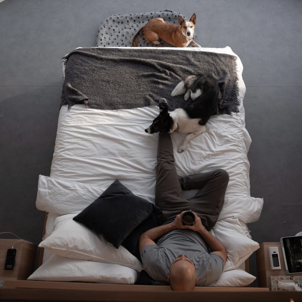 Webp.net-resizeimage-12