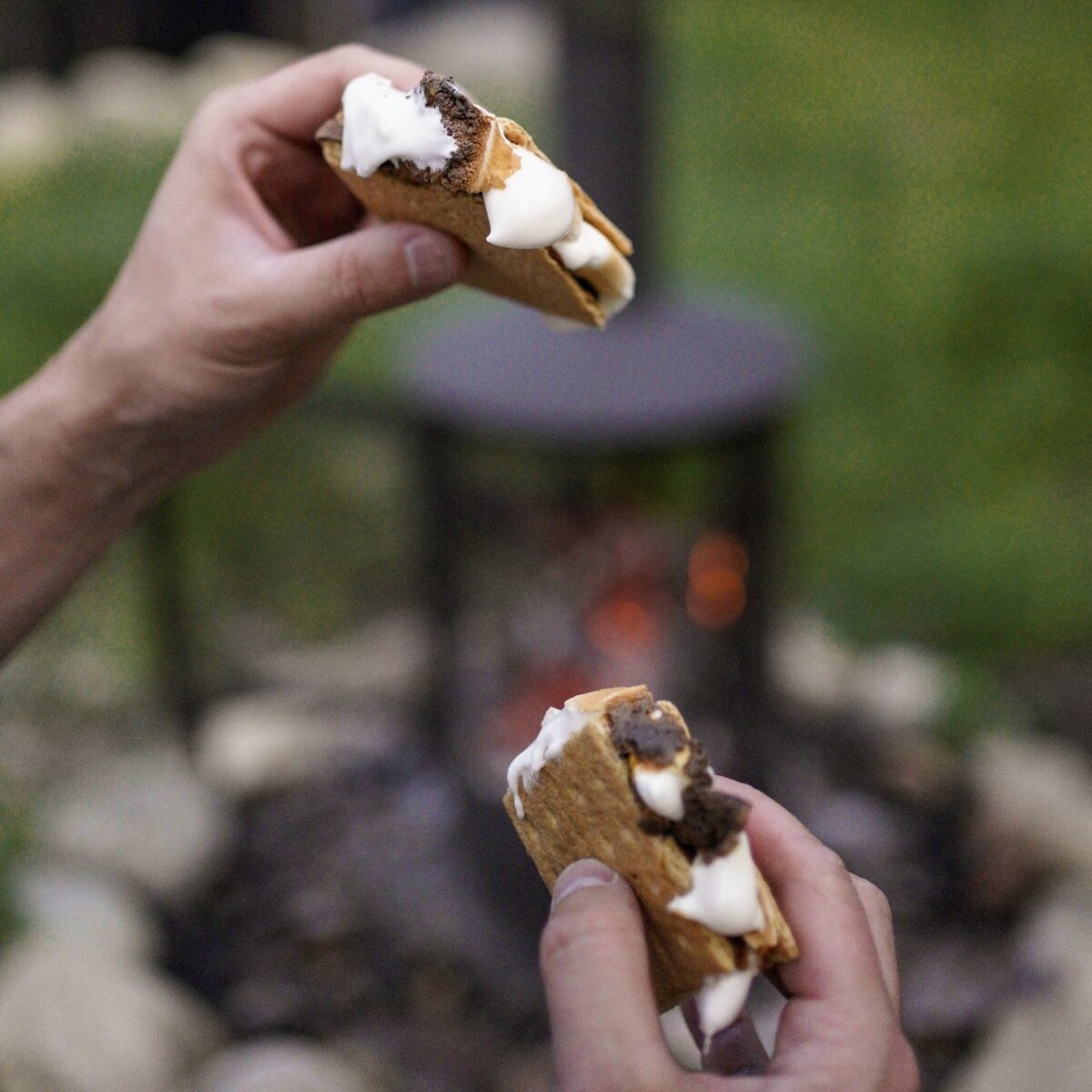 Webp.net-resizeimage-15