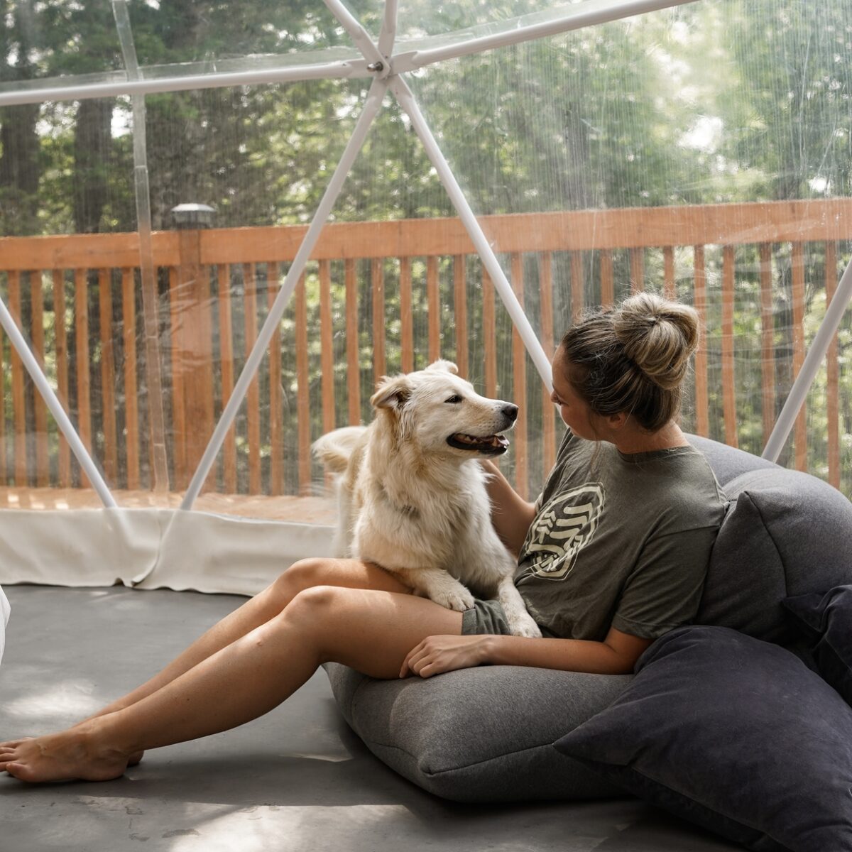 Webp.net-resizeimage-20