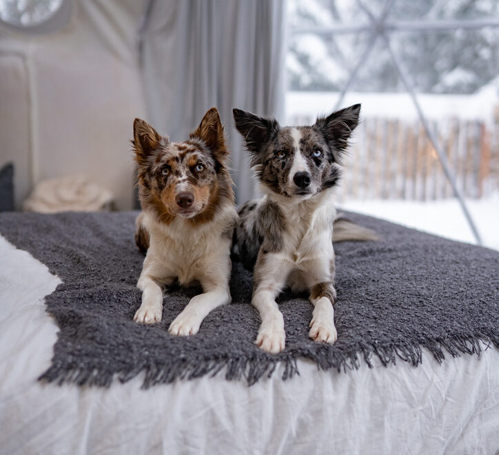 9AA1EA6B-6207-42D5-9784-4D85F039C305_1_105_c